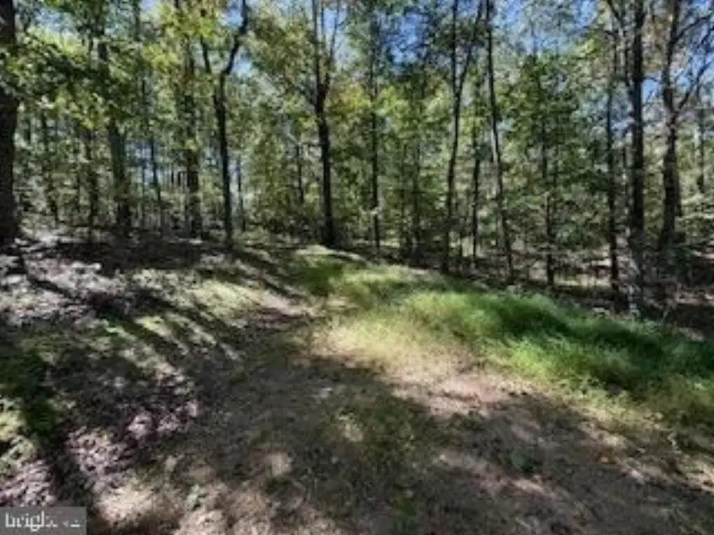 Picture 10