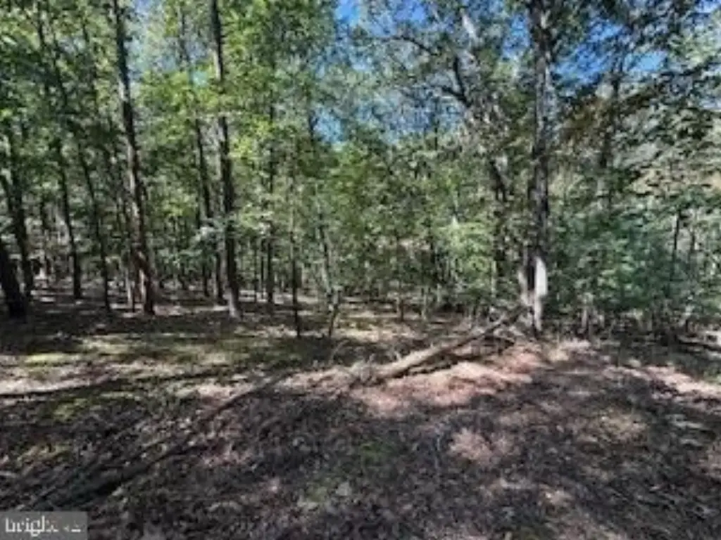 Picture 37