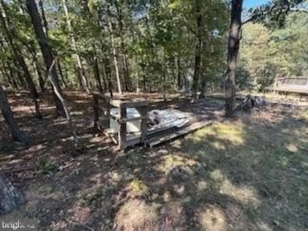Picture 36