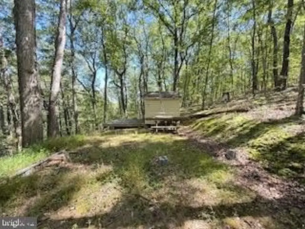 Picture 8