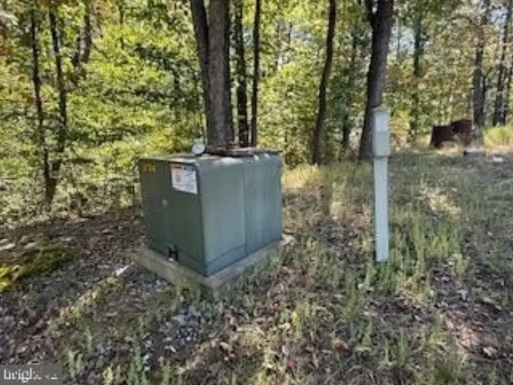 Picture 30