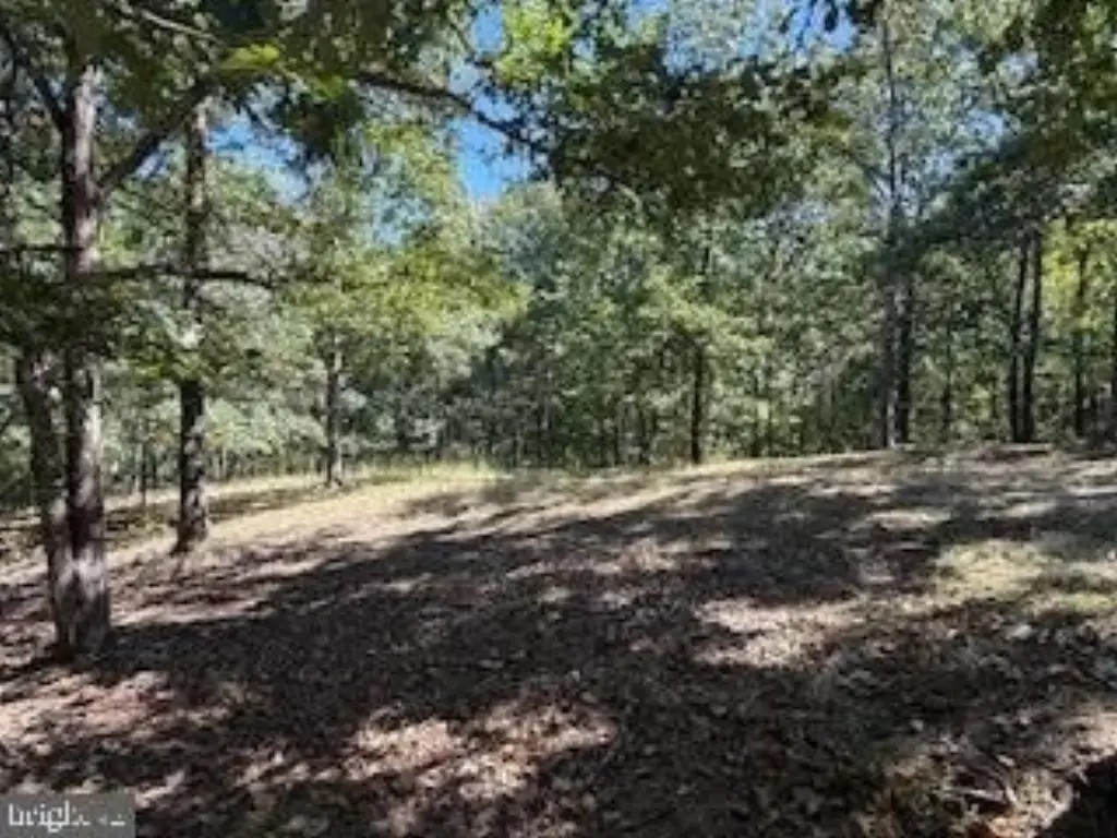 Picture 29