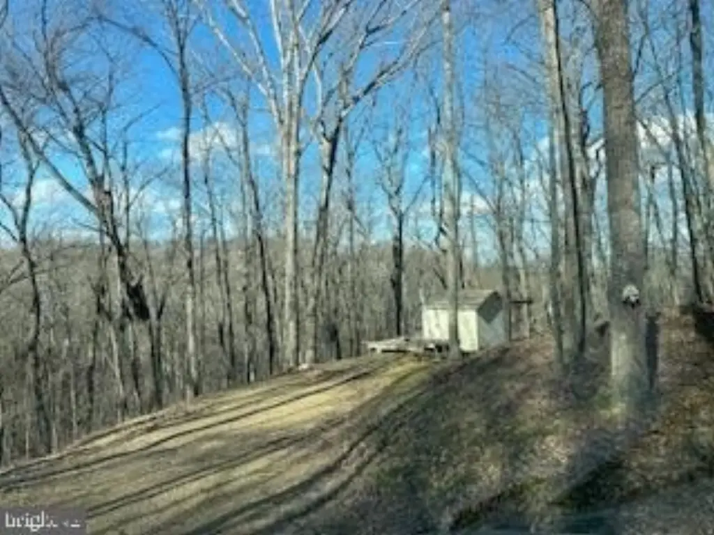 Picture 27