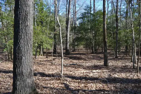 Buildable Acreage in Northeast Columbia