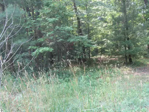 Residential Land in Prescott, Michigan