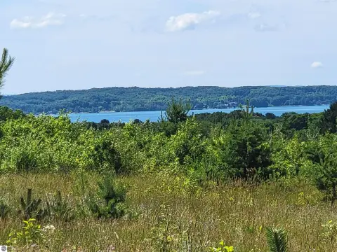 Torch Lake View Land Parcel