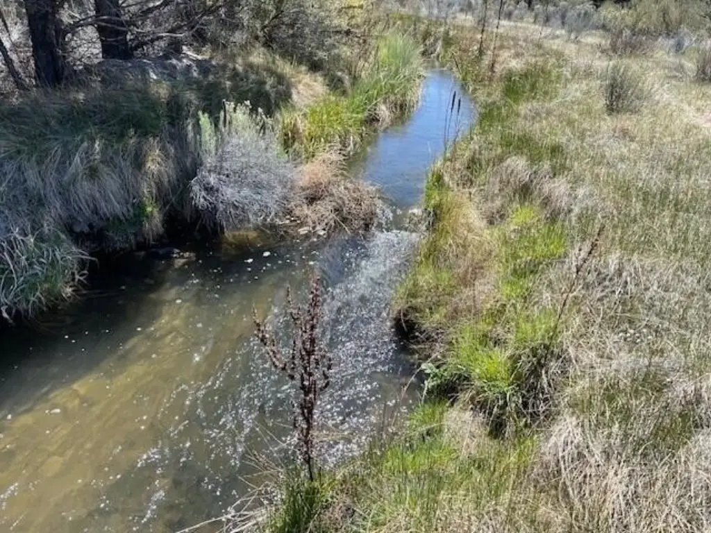 Picture 7