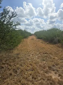 Undeveloped Land in Alice, Texas