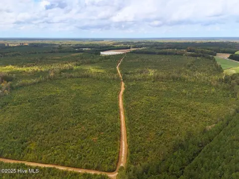 Duplin County Timberland Hunting Retreat