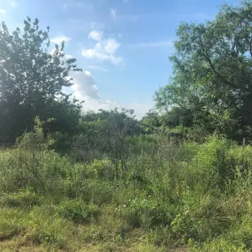 Beeville Land for Sale