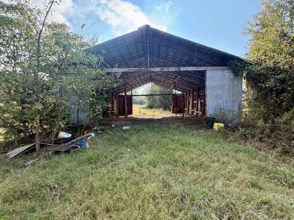 Picture 23