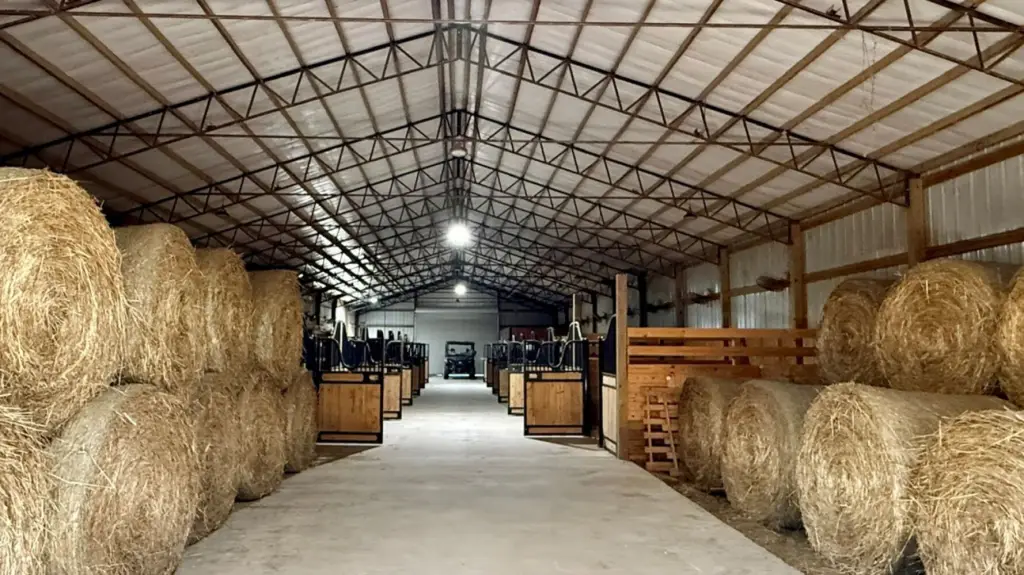 Picture 4