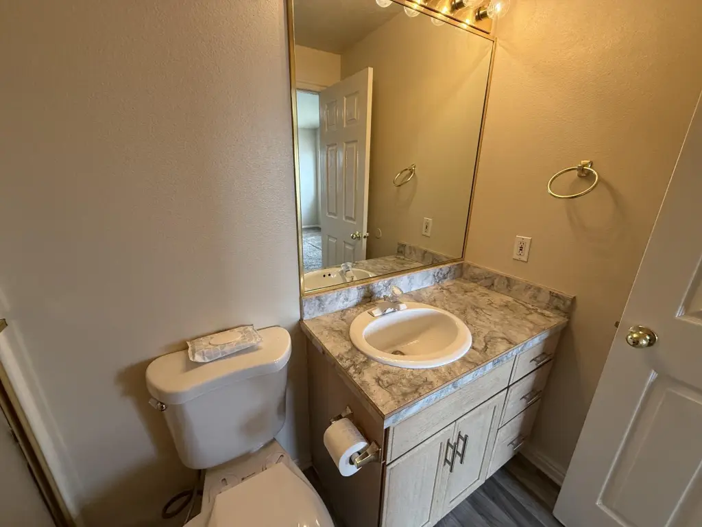 Picture 15