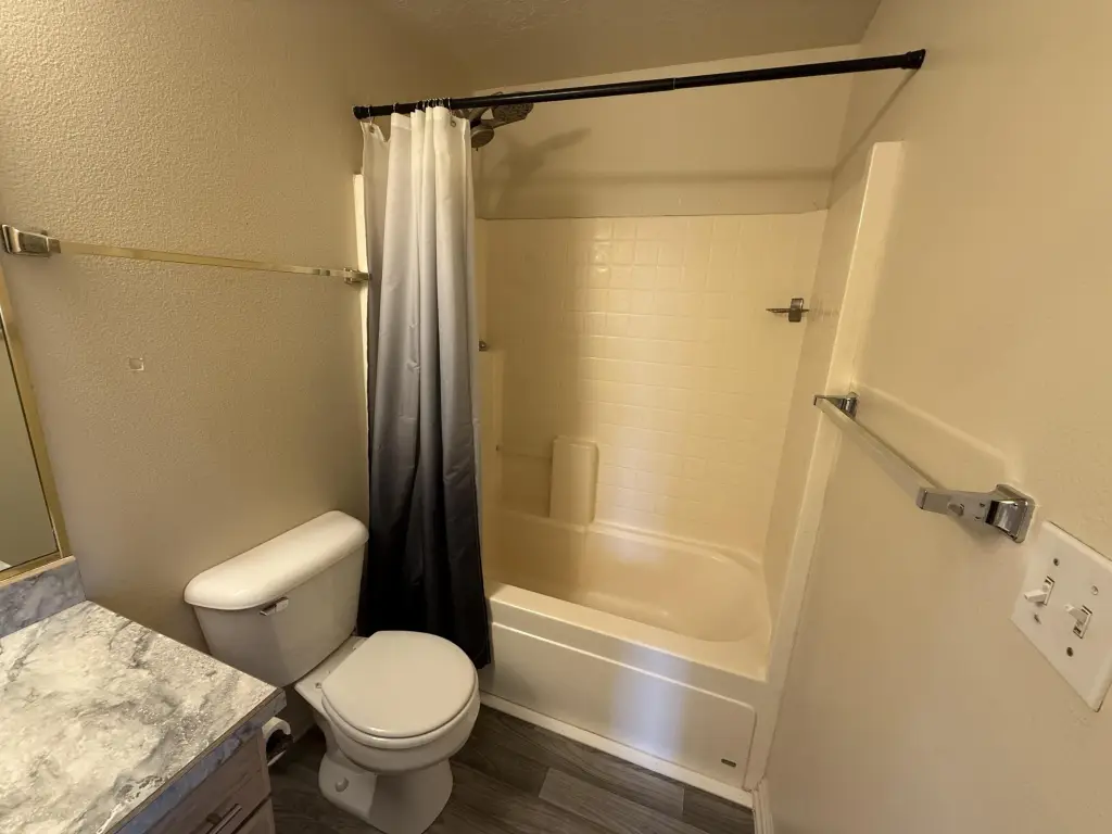 Picture 17
