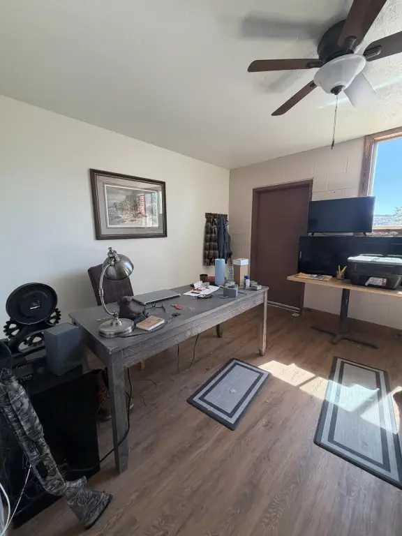 Picture 6