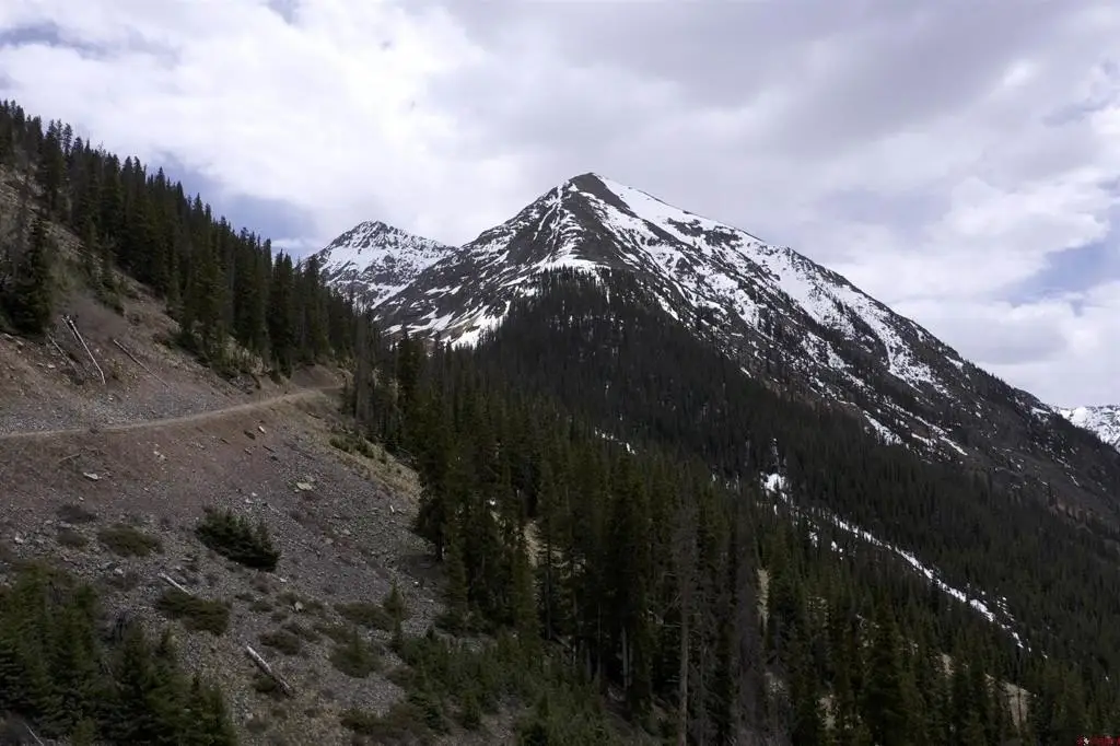 Picture 35