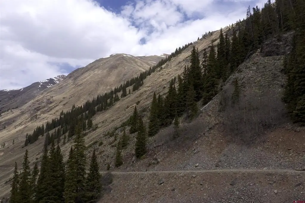 Picture 24