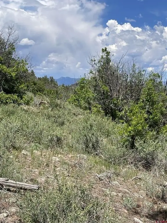 Picture 19