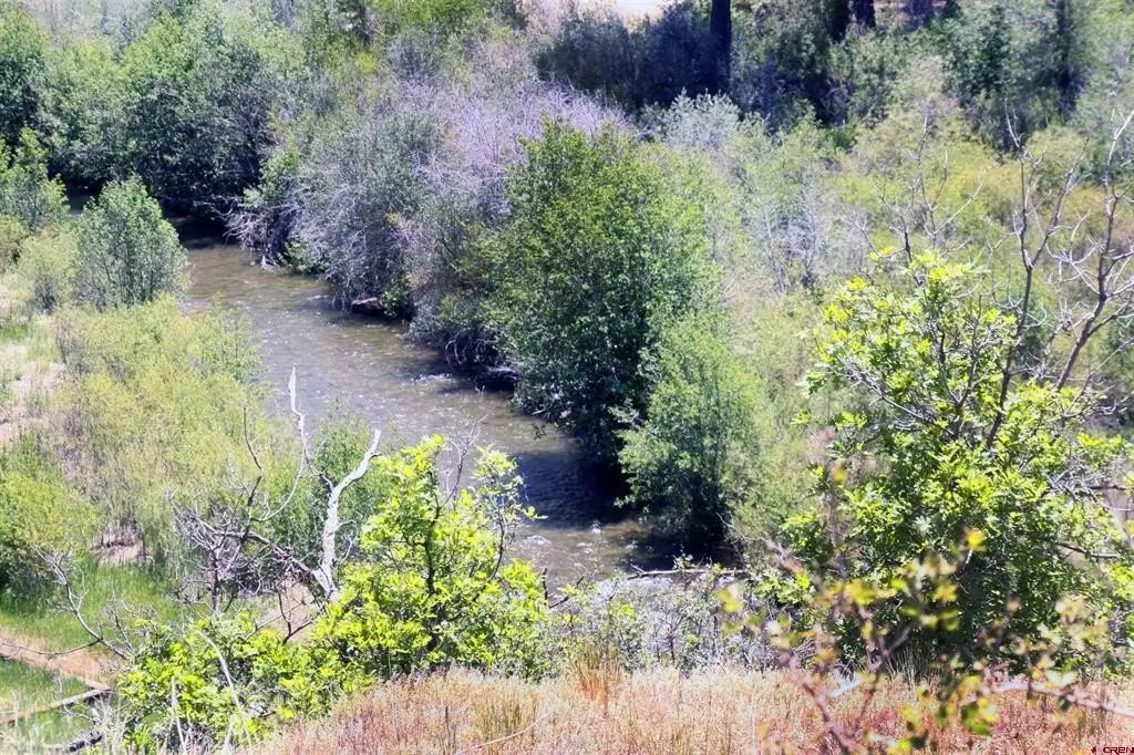 Picture 41
