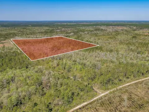 Wakulla County Land Opportunity