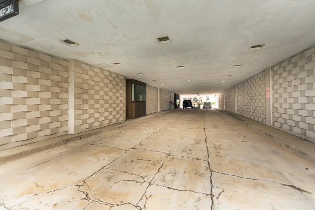 Picture 5