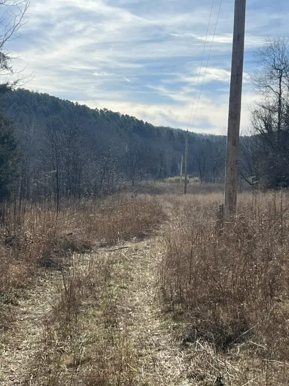 Picture 5