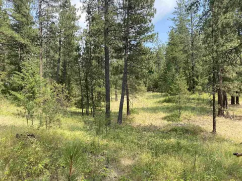 Land Parcel in Elk, WA