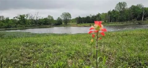Canton Ranch with Lake