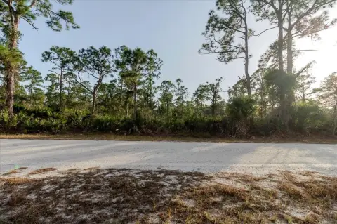 Residential Land in Punta Gorda