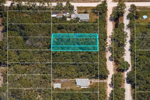 Residential Lot in DeLand