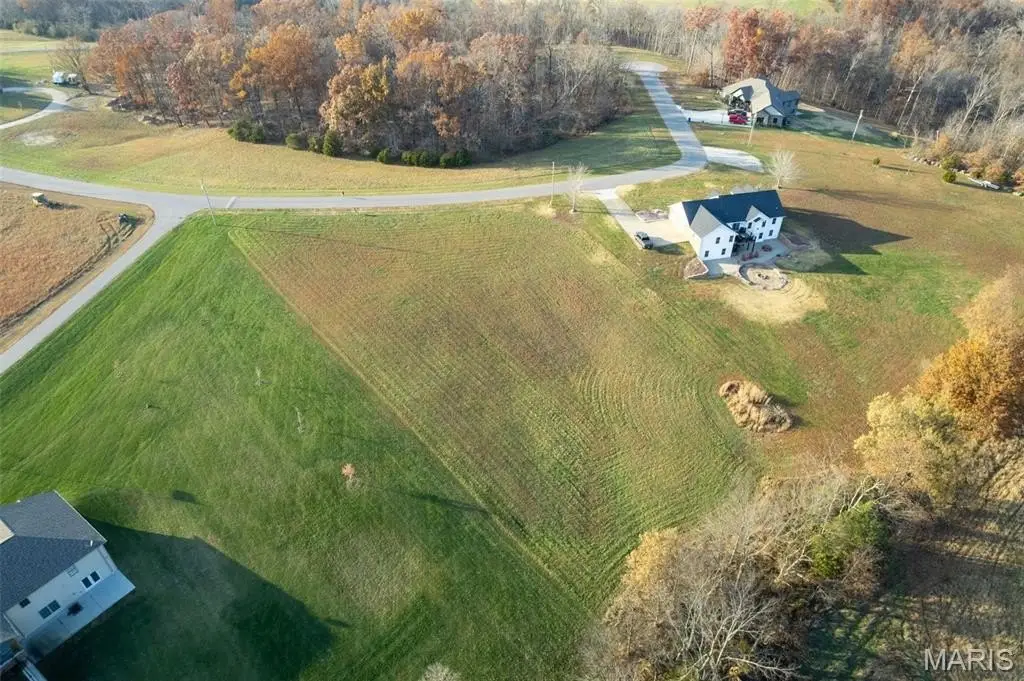 Picture 8