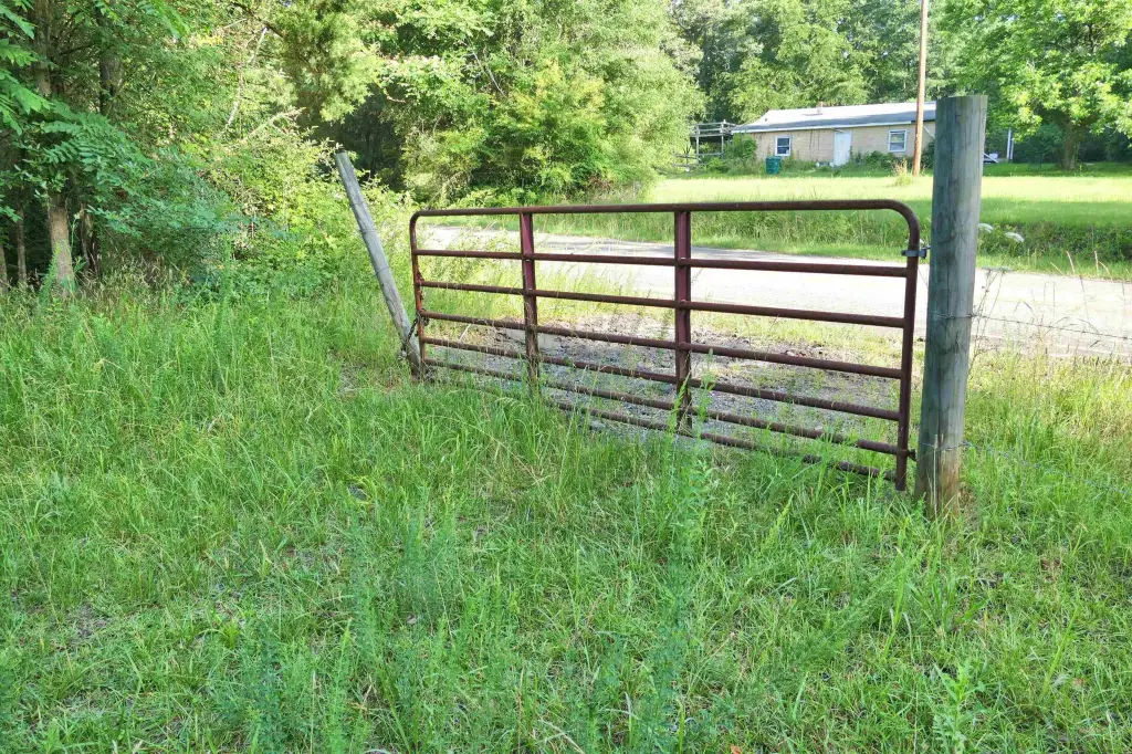 Picture 10