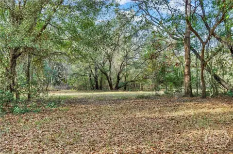 Savannah Land by Little Ogeechee