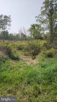 Deal Island Hunting Land