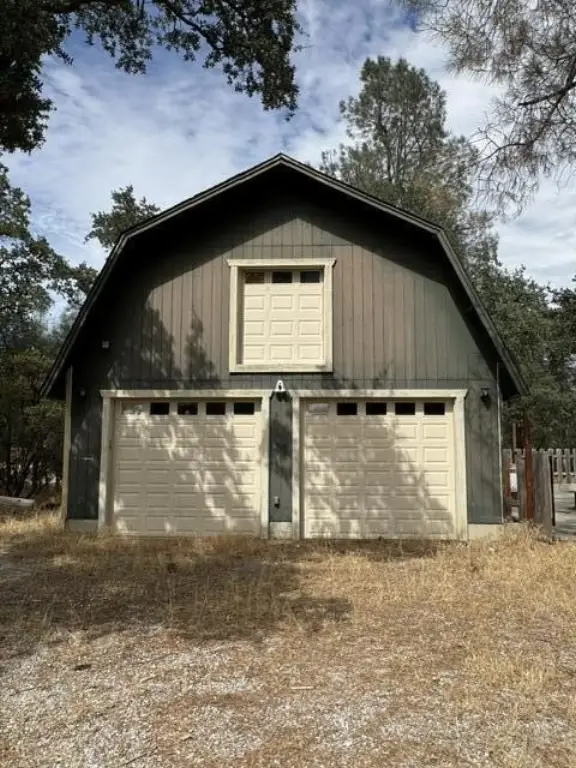 Picture 5