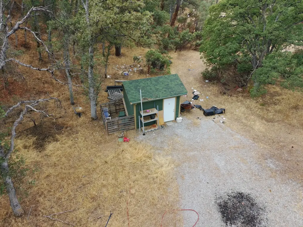 Picture 17