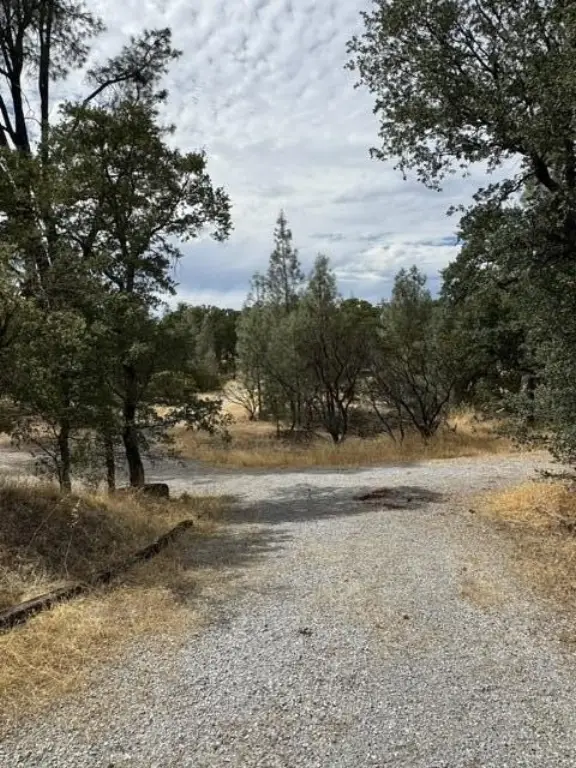 Picture 13
