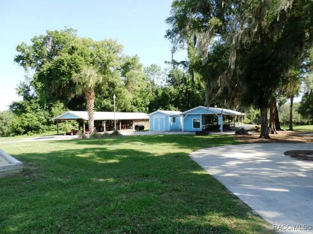 Picture 31