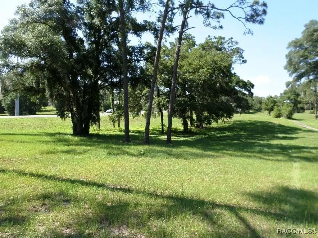 Picture 21