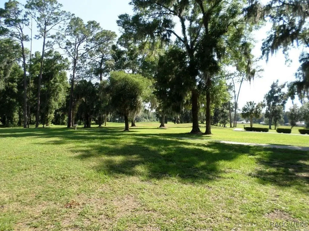 Picture 36