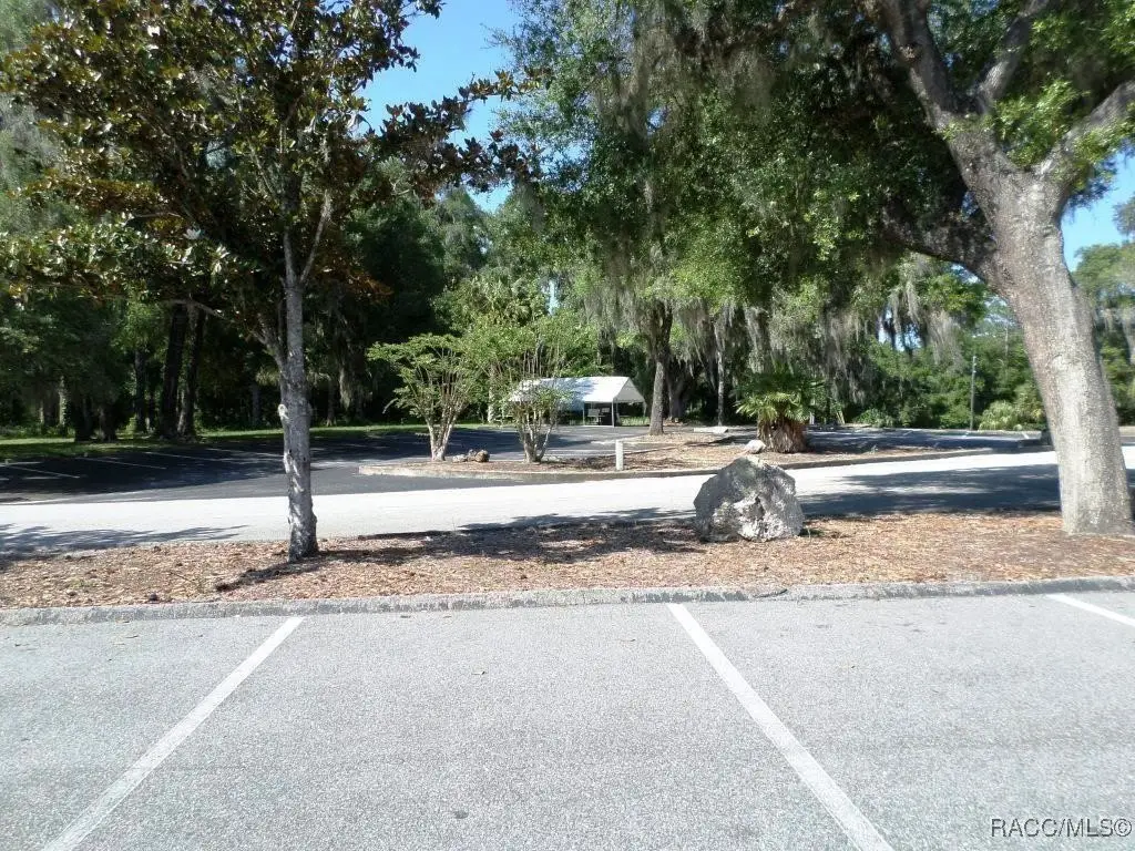 Picture 27