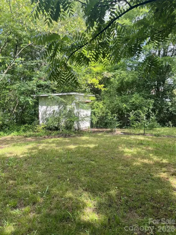 Picture 6