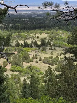 Mountain Hunting Land