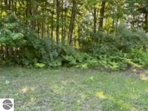 Tawas City Vacant Land