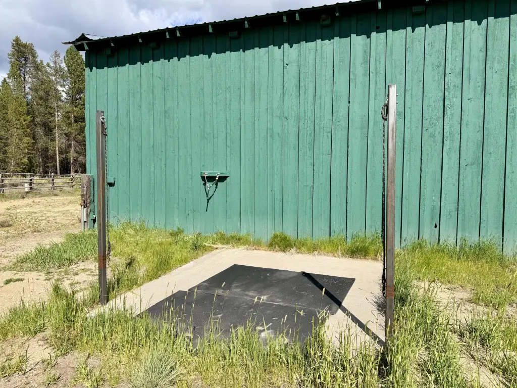 Picture 6