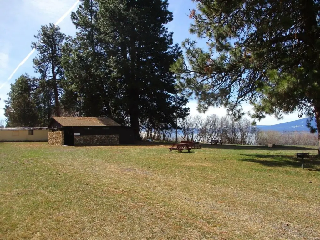 Picture 12