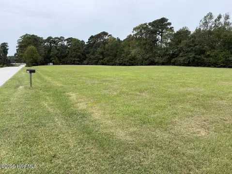 Peletier Land with Road Frontage