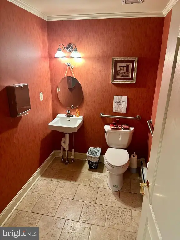 Picture 6
