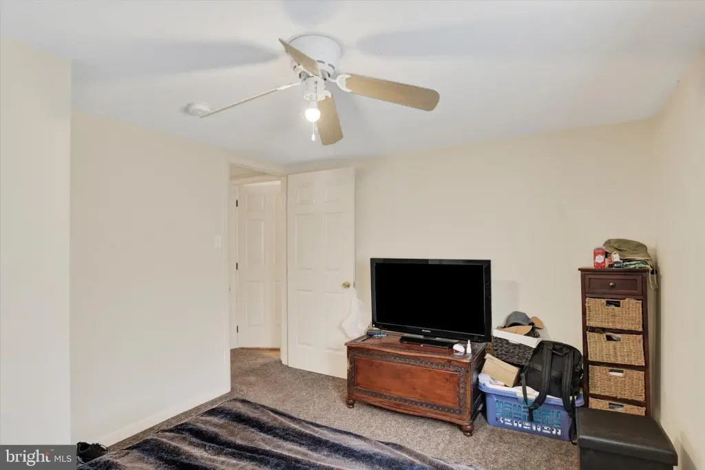 Picture 21