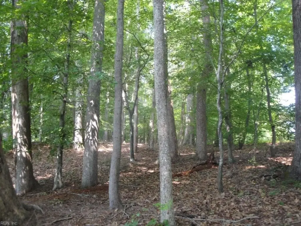 Picture 21